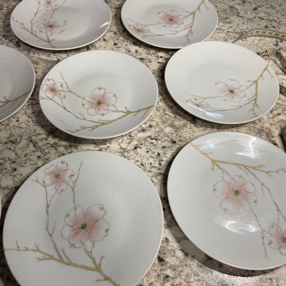 Rosenthal_ Germany China Blush Bread and Butter Plates
